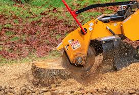 Best Hazardous Tree Removal  in Irondale, GA