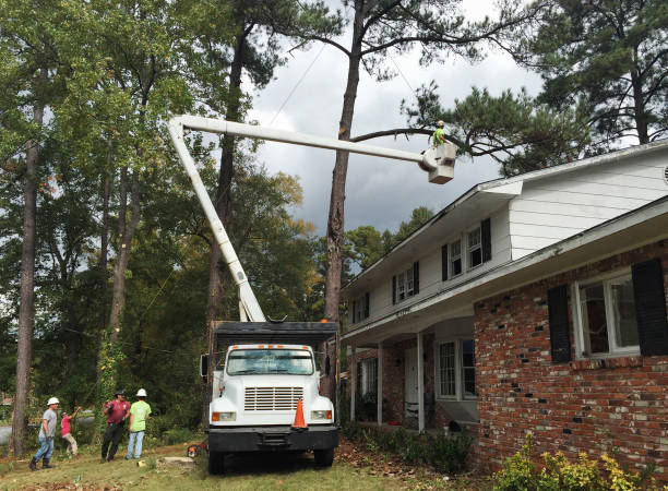 Best Leaf Removal  in Irondale, GA